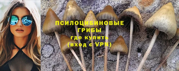 прущая мука Сосновый Бор